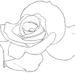 Rose line art